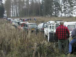 P vej i skoven".  copyright: Helmer Larsen